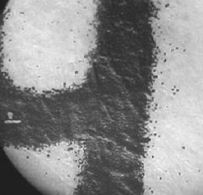 home computer laser printing at 100x magnification