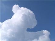 Many see the figure of a lion cub in this cloud