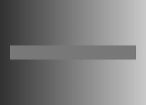The gray bar is one tone. It is the changing background that makes it appear to change in tone. Cover up the background to prove this to yourself.