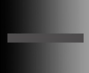 13174095_10206316102436997_8158184228856698302_n (2)